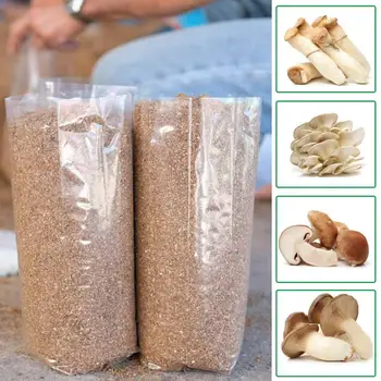 Пластмасови дишащи пакети за отглеждане на 10 бр/пакет, Огнеупорни хранителната контейнер за отглеждане на растения за гъби